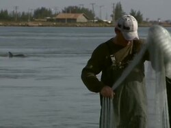 Traditional fisherman fixes net, unaware of dolphin breaching behind him, Laguna, Brazil [Brasil] Stock Footage