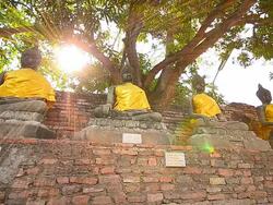 Old Buddha Statues at Historical Park of Ayutthaya, Thailand Stock Footage