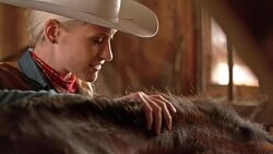 SLO MO Woman stroking her horse in a stall Stock Footage