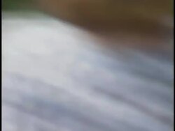 Premiere of 'The Indian in the Cupboard' Stock Footage