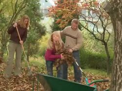 Autumn Time Stock Footage