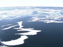 Melting Ice floes and drift ice in the Arctic and Northwest Passage News Clip