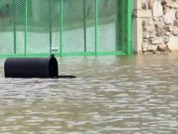 May 9, 2011 Mississippi River Flooding, a mailbox barely visible outside a home in Memphis, Tennessee, USA Stock Footage