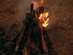 Close-up of bonfire at night in the forest, Delhi, India Stock Footage