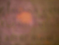 FI Rbin Hood inscription / Kirklees Park, Clifton, West Yorkshire, UK Stock Footage