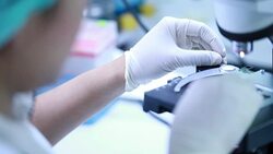 Researchers looking into a microscope Stock Footage