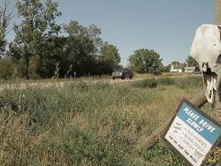 Skull of a cow on a fence in a field Stock Footage