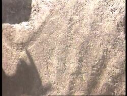 Egypt - Pharos Lighthouse Found On Seabed News Clip