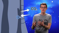 How Ingenious Animals Have Engineered Air Conditioning Instructional Video