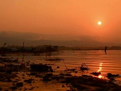 Dolly Shot: Lake Scenic at Silhouette Sunrise Stock Footage