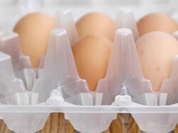 Putting eggs into the tray. Stock Footage