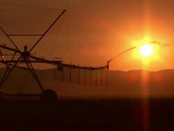 Irrigation Sprinkler Stock Footage
