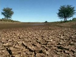 Waterhole with lots of cracked mud WS, Namaqualand, South Africa Stock Footage