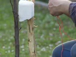 HD: Gardening Stock Footage