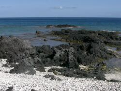 Kona coast black lava shore Stock Footage