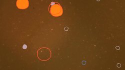 TED-ED: Solid, liquid, gas and plasma? - Michael Murillo Instructional Video