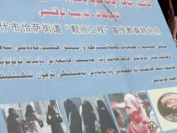 Sky News has gained rare access to China's troubled Xinjiang province in the remote far west of the country. News Clip