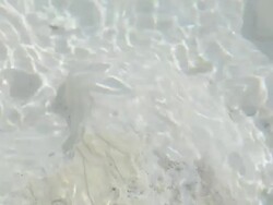 Flowing spring water in Pamukkale with audio/sound Stock Footage