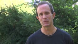 FDA to Bakery: 'Love' is Not a Real Ingredient News Clip