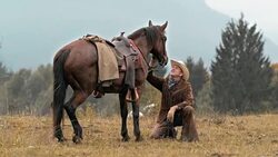 SLO MO DS Rancher stroking his horse Stock Footage