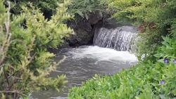 HD: Natural Fresh Spring Water Stock Footage