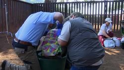 Hope for the rhino who survived poaching attack News Clip