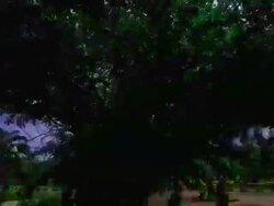 temples Stock Footage