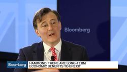 Hammond: U.K. Government Is a Pro-Business Government News Clip