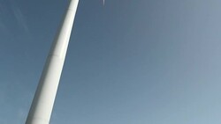 Eagle killed by wind turbine Stock Footage