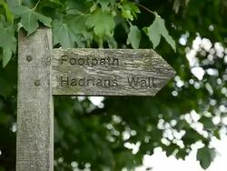 General Views of Hadrians Wall Stock Footage