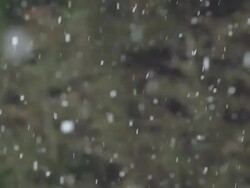 MS SLO MO Shot of Falling Snow / Calvados, Normandy, France Stock Footage