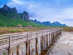 Time Lapse: Wood bridge in Khoa Sam Roi Yod Stock Footage