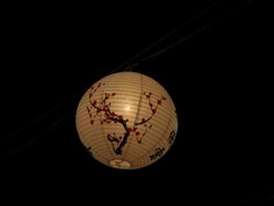 Lamps moving in the wind at night. Stock Footage