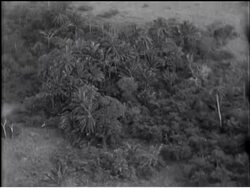 Germany Pioneers First Airship Route News Clip