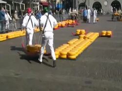 Men carrying large cheese rounds in historical cheese market, Alkmaar, Holland Stock Footage
