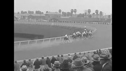 Vermajo wins New Orleans Handicap at Fair Grounds Race Course News Clip