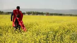 Super Businessman Stock Footage