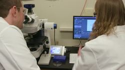 SEA SLUG BRAIN CHEMISTRY REVEALS A LOT ABOUT HUMAN MEMORY, LEARNING Instructional Video