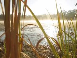HD: Lake In Morning Stock Footage