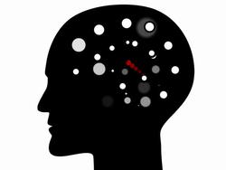 BRAIN : common sense lobe, white back (LOOP) Stock Footage