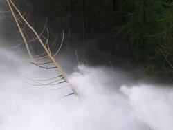 HD Flood Waves Destroying Trees Slow Motion Stock Footage