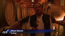 VOICED : El vino mas alto del mundo News Clip