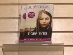 ATMOSPHERE - 'Tiger Eyes' book at Judy Blume Book Stock Footage