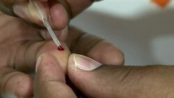 CLEAN : Waste guzzling fly factory wins African News Clip