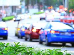 HD:Focusing of Tree leaf with pollution of traffic jam as background. Stock Footage