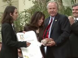 WireImage Entertainment Report: 4/15/09 Stock Footage