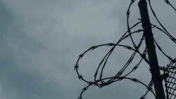 Barbed Wire Stock Footage