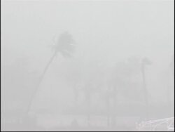 Sandstorm closes Cairo airport, chokes traffic Instructional Video