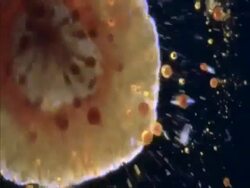 SPACE FX Stock Footage