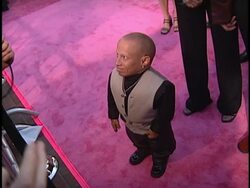 'Austin Powers' The Spy Who Shagged Me' Premiere Stock Footage